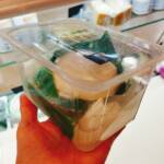 Burrata di Andria queso fresco italiano de Puglia con interior cremoso de stracciatella.