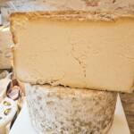 Queso italiano Castelmagno DOP presentado sobre tabla gourmet