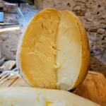 provolone del monaco dop queso italiano curado